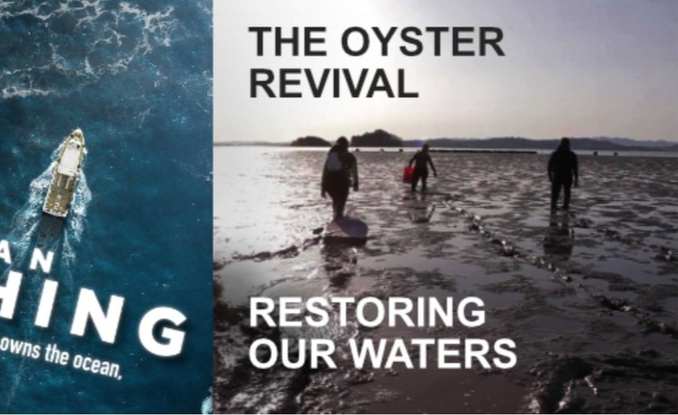 Climate Resiliency Screening at Firehouse Center for the Arts