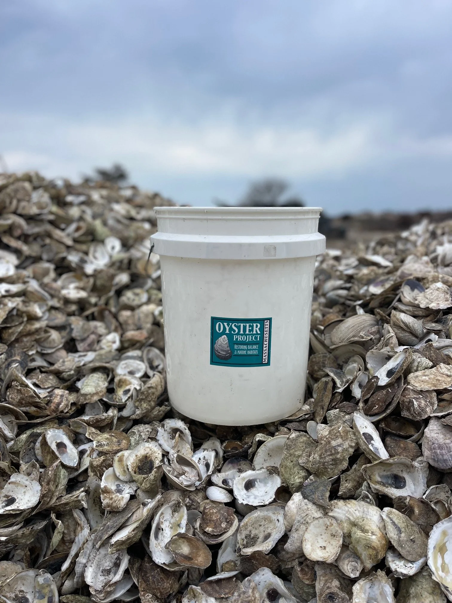 Follow That Shell: A Big Move for Oyster Shell
