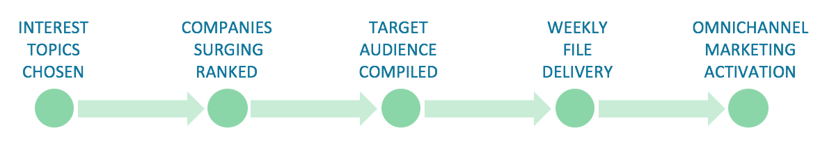SMARTintent process.png