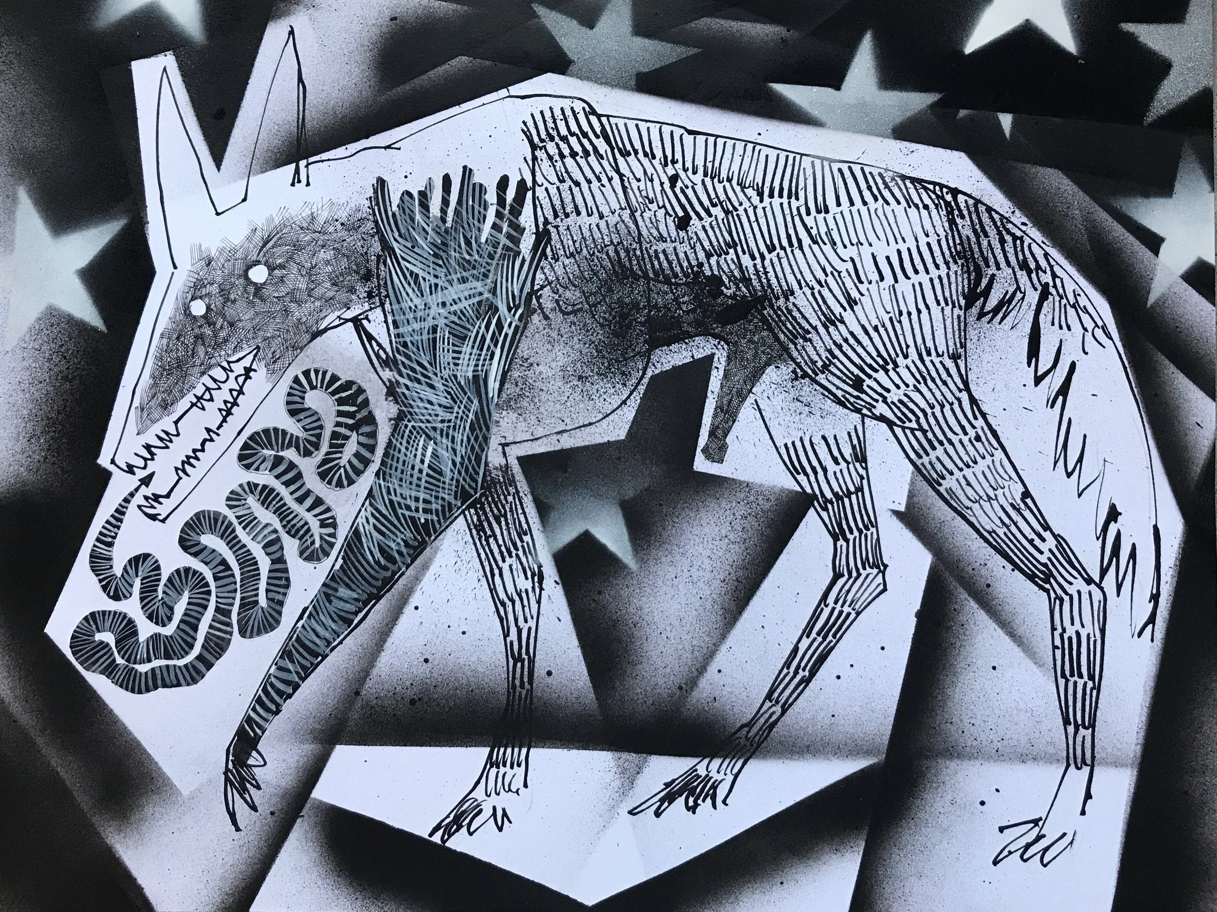TheCoyote_17x14.JPG