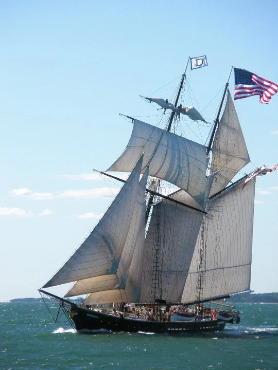 shenandoah big flag.jpg