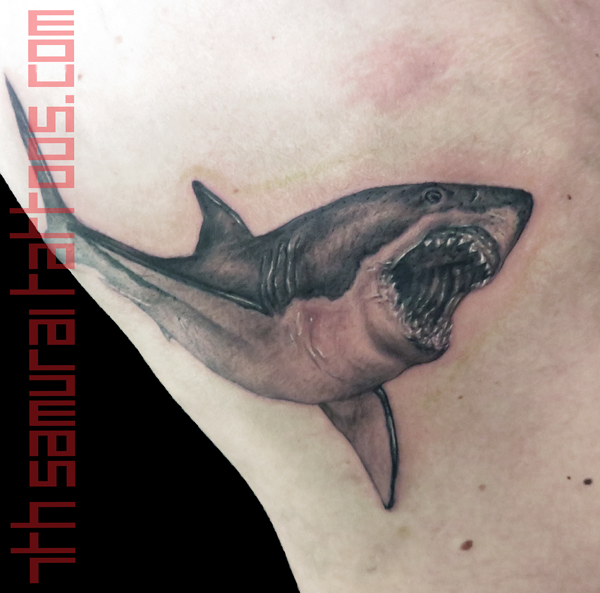 Shark Kai 7th Samurai mens side rib tattoo