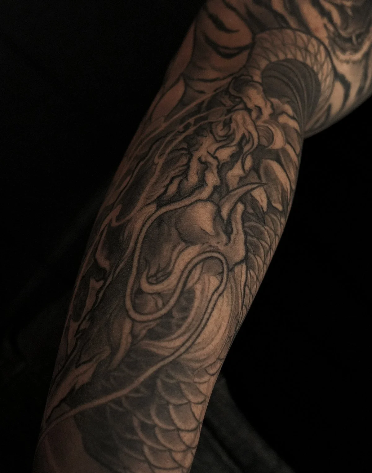 Tiger vs dragon fighting Chrysanthemum flowers neo Japanese mens arm sleeve tattoo. Kai 7th samurai Edmonton alberta Canada 2026 st.albert best 2026 Calgary Vancouver toronto