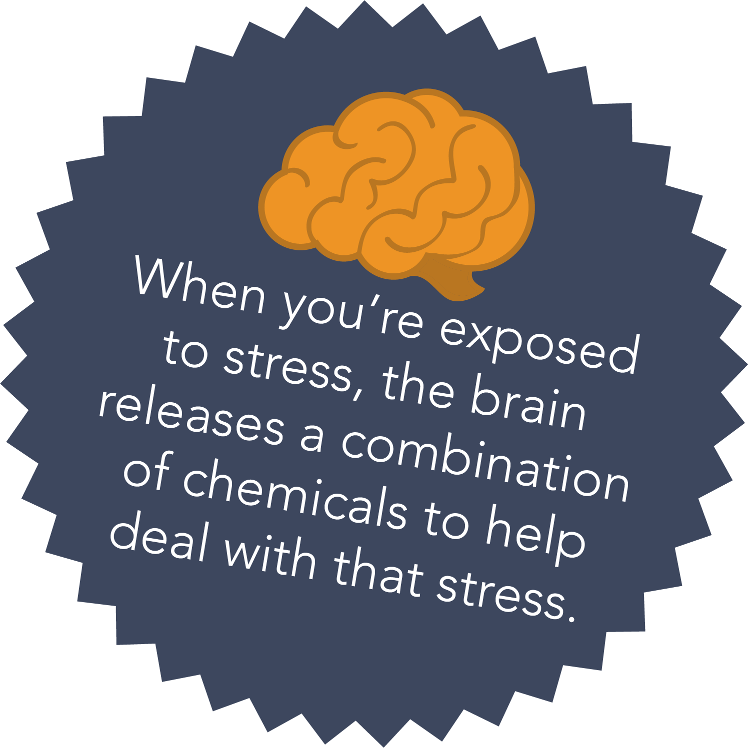 stress blurb.png