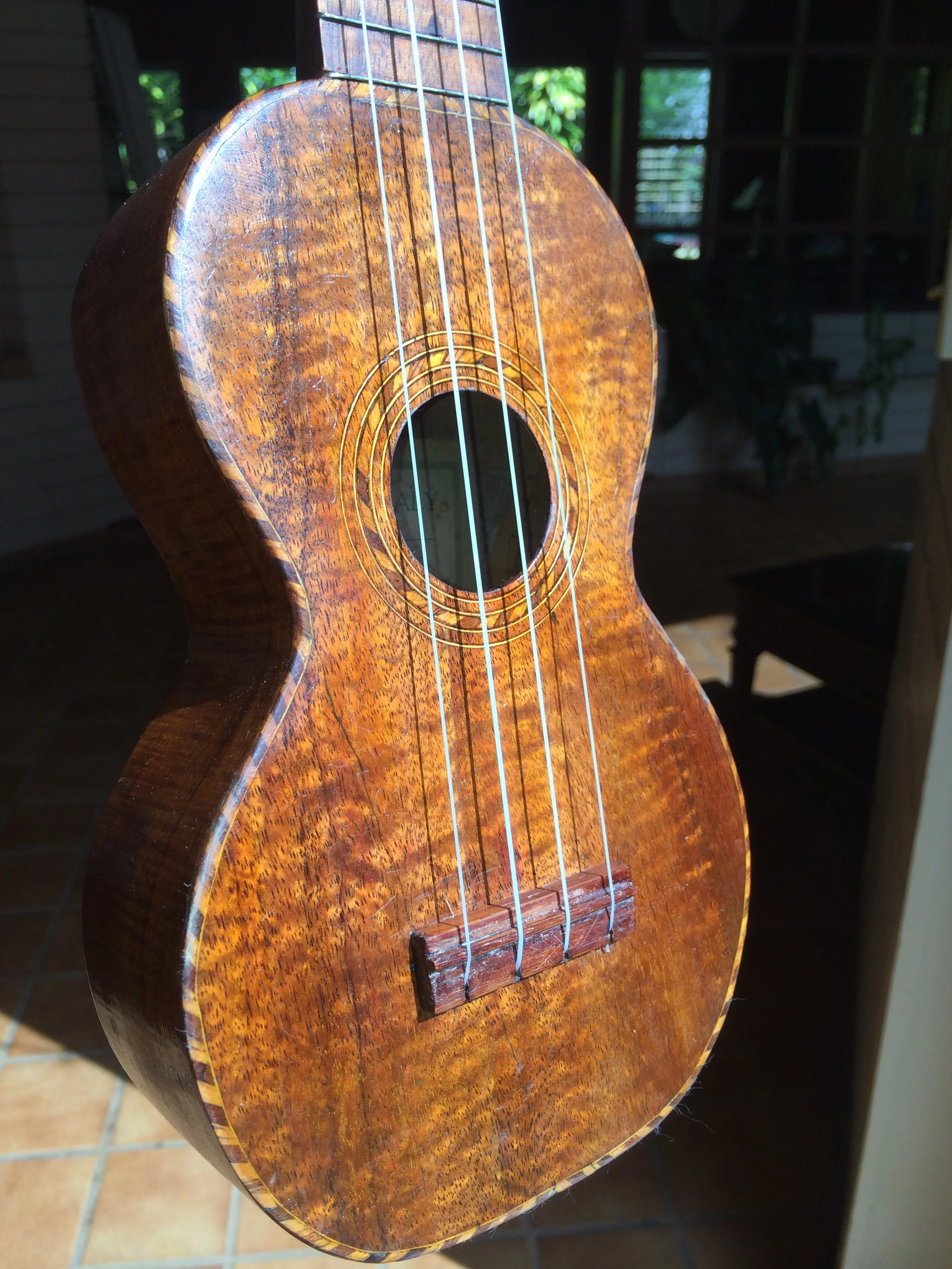 Strung up in the Hawaiian sun!