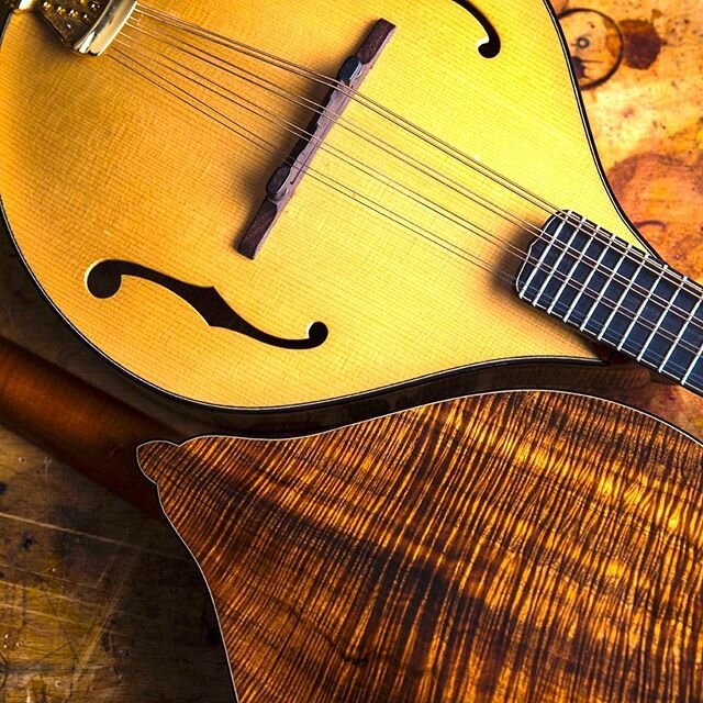 Matched pair Mandolin &amp; Mandola made by Lawrence Smart. I&rsquo;ve been thinking a lot lately about the connection between the timbers we use to build our instruments and the character of the place from which they first come into being. The Koa i