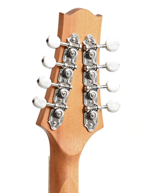 Screen Shot 2022-02-01 at 9.25.10 PM.png