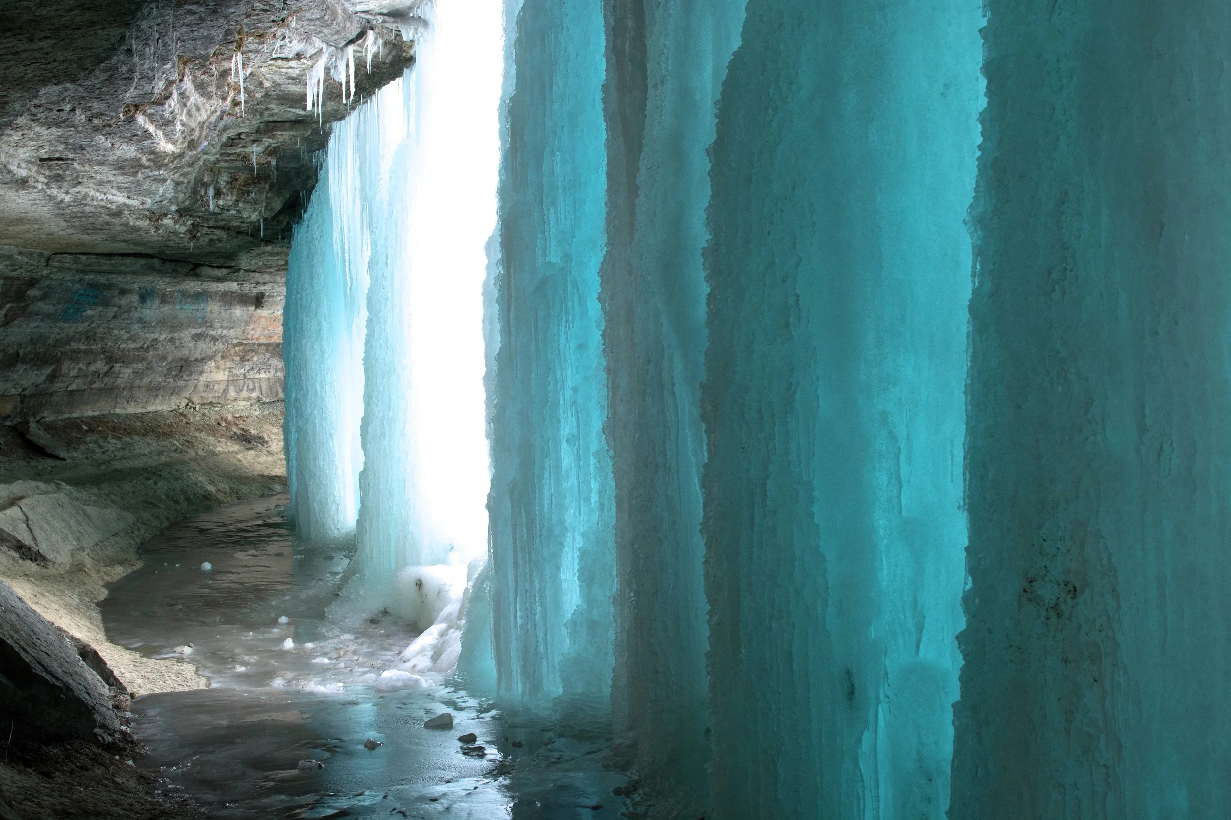 DSC_2826.jpg