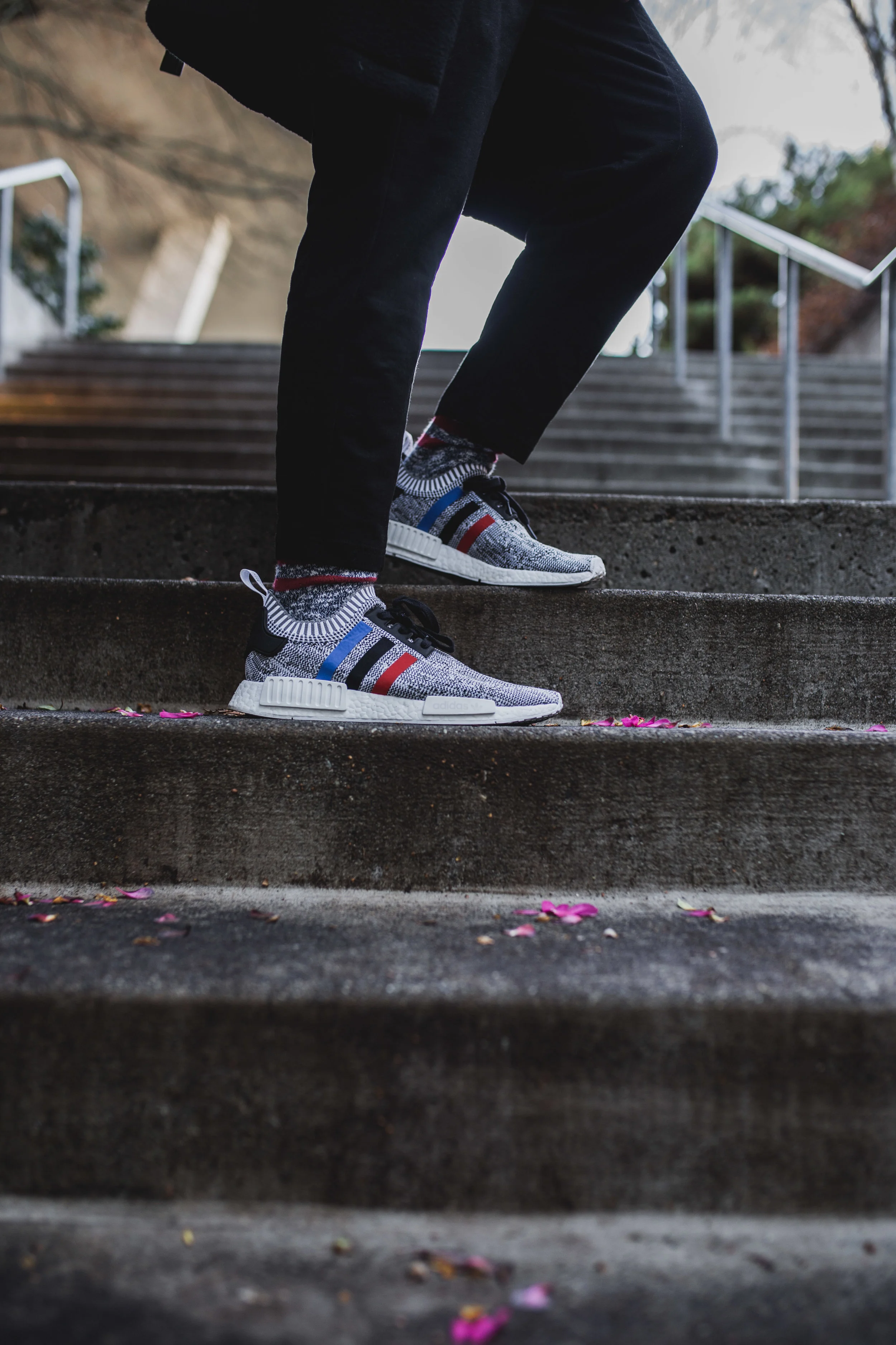 FIT (3 of 3).jpg