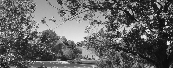 roofBW.gif
