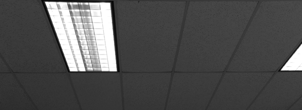light.BW.gif