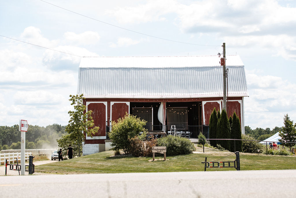 Best_Grand_Rapids_wedding_photographer_-53.JPG