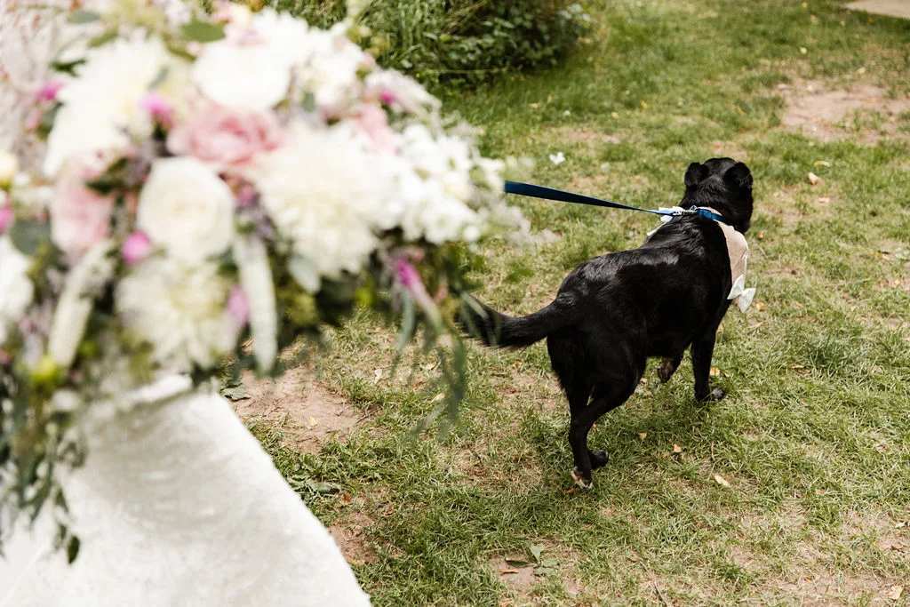 JMH_Photography_wedding_-114.JPG