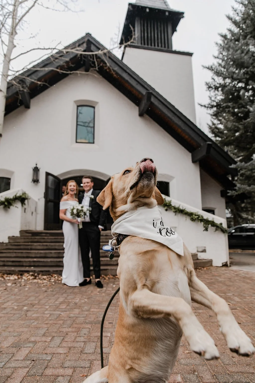 JMH_Photography_vail_wedding_2021_-109.JPG