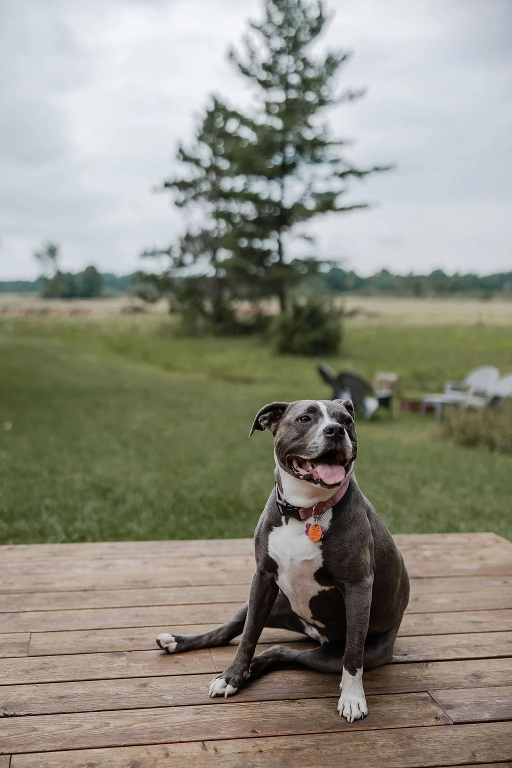 justin_haylee_photo_blackmorewedding-28.jpg