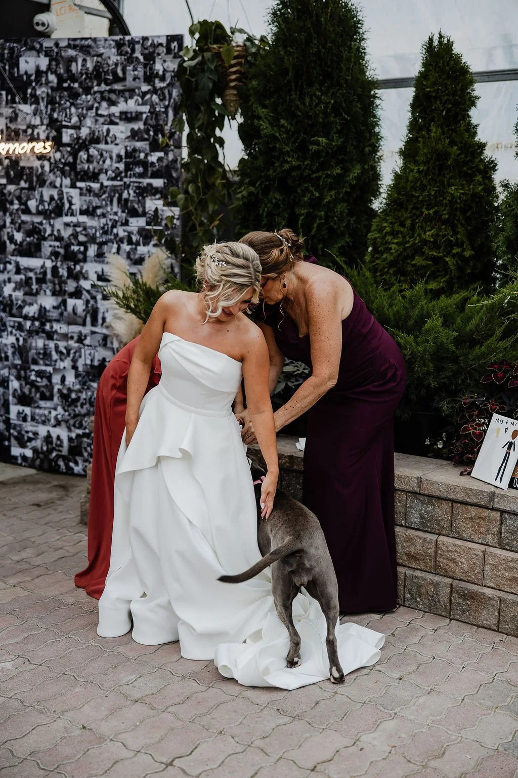justin_haylee_photo_blackmorewedding-46.jpg