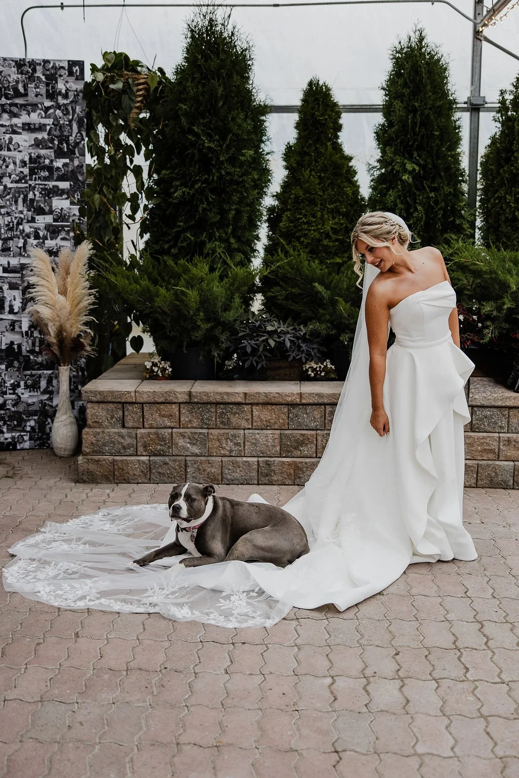 justin_haylee_photo_blackmorewedding-51.jpg