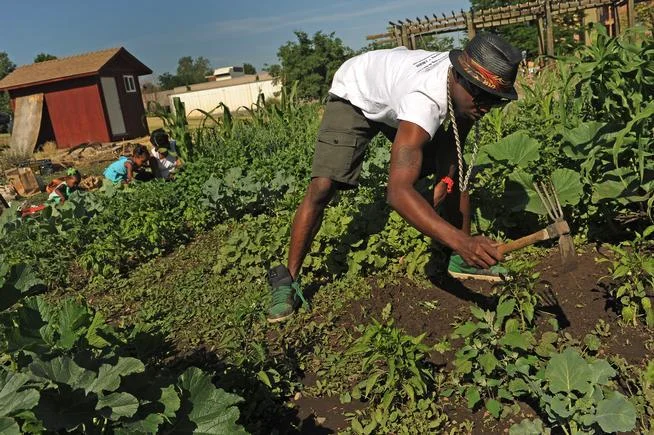 From Gangs to Gardens