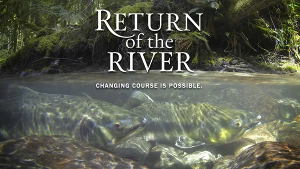 Return of the River