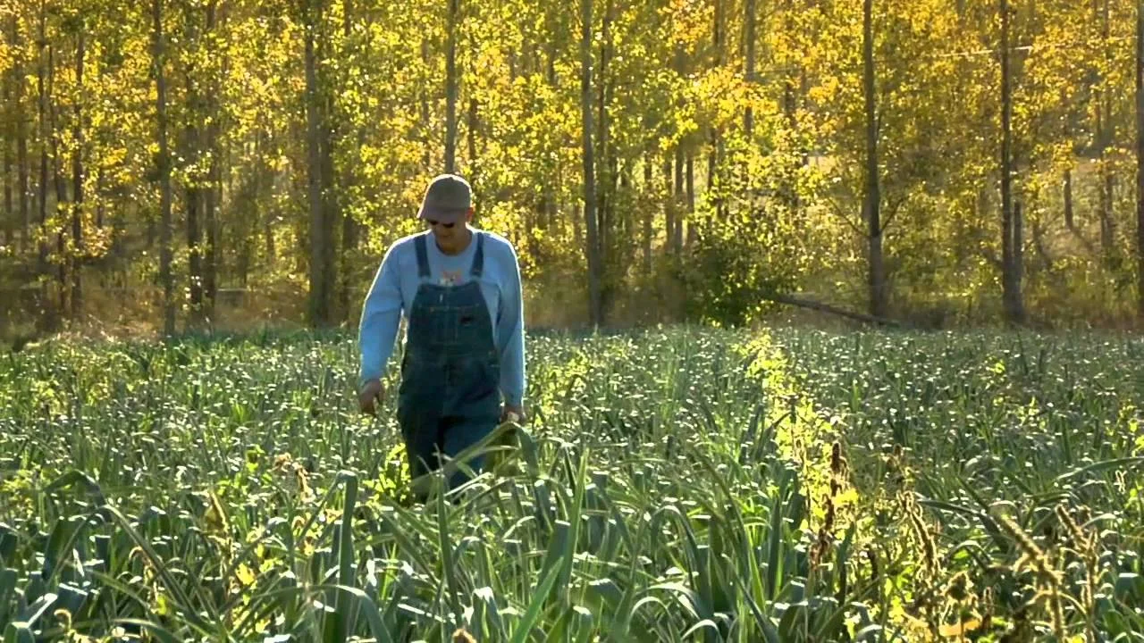 Ingredients: The Local Food Movement Takes Root