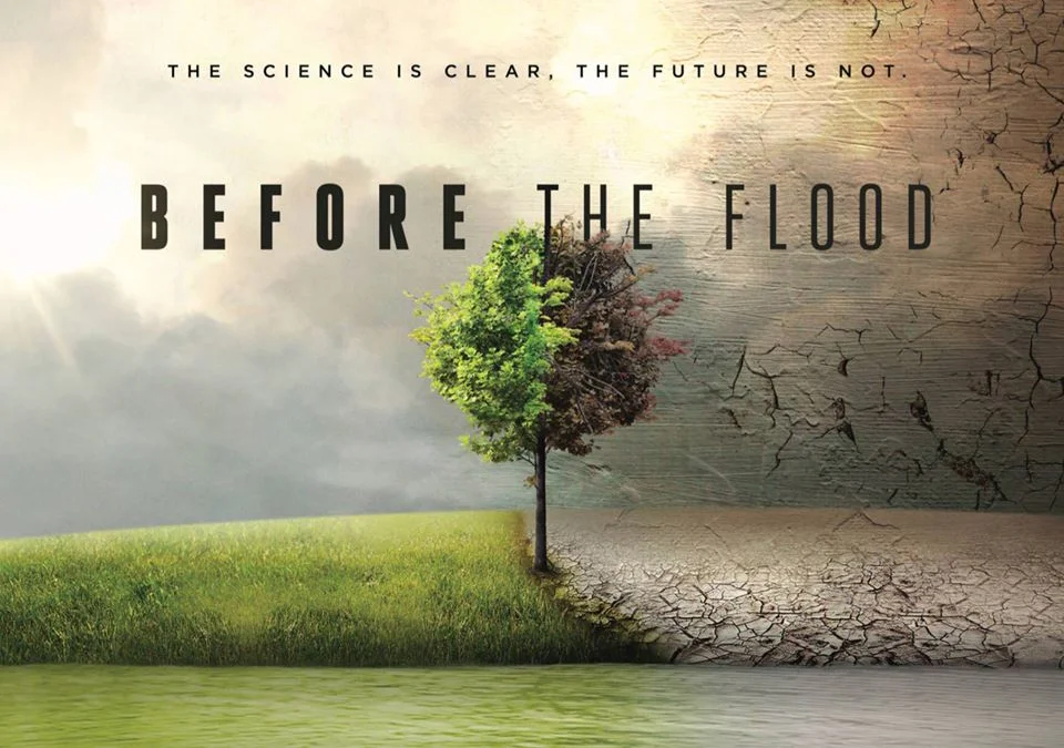 Before the Flood (one earth film festival 2017)