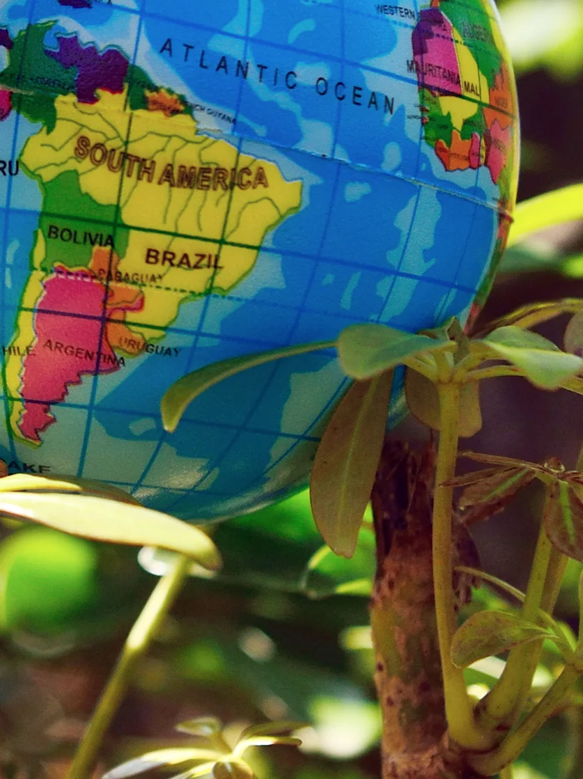 One Earth to premiere Amazon virtual reality short film "Under the Canopy"