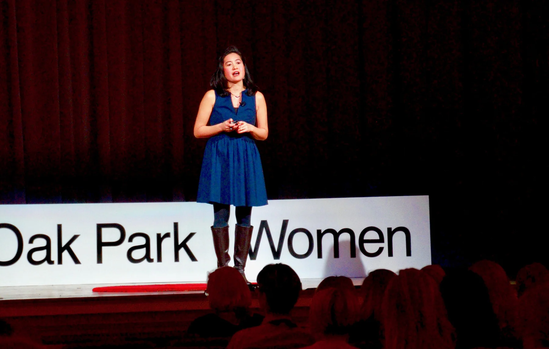 Ana Garcia Doyle presents her TEDx Oak Park Women talk, “Ecology and Equity: What’s Possible?” Thurs., Nov. 2, 2017 at the 19th Century Club in Oak Park, Ill.