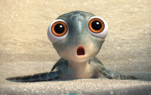 SeaTurtleVerge.jpg
