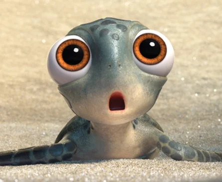 SeaTurtleVergesmall.jpg