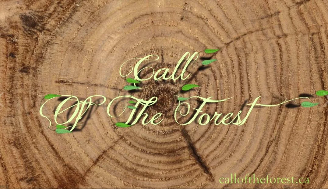 Call of the Forest