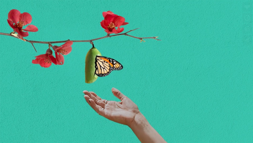 Amanda Conyers Godreau’s animated film “Waste” earned an honorable mention at the college level.