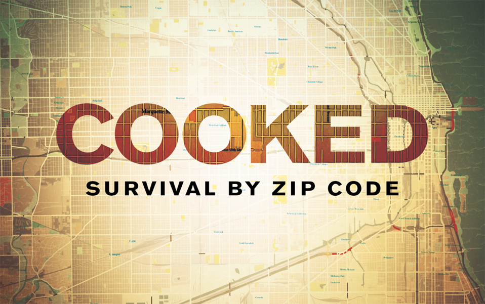 Cooked: Survival by Zip Code