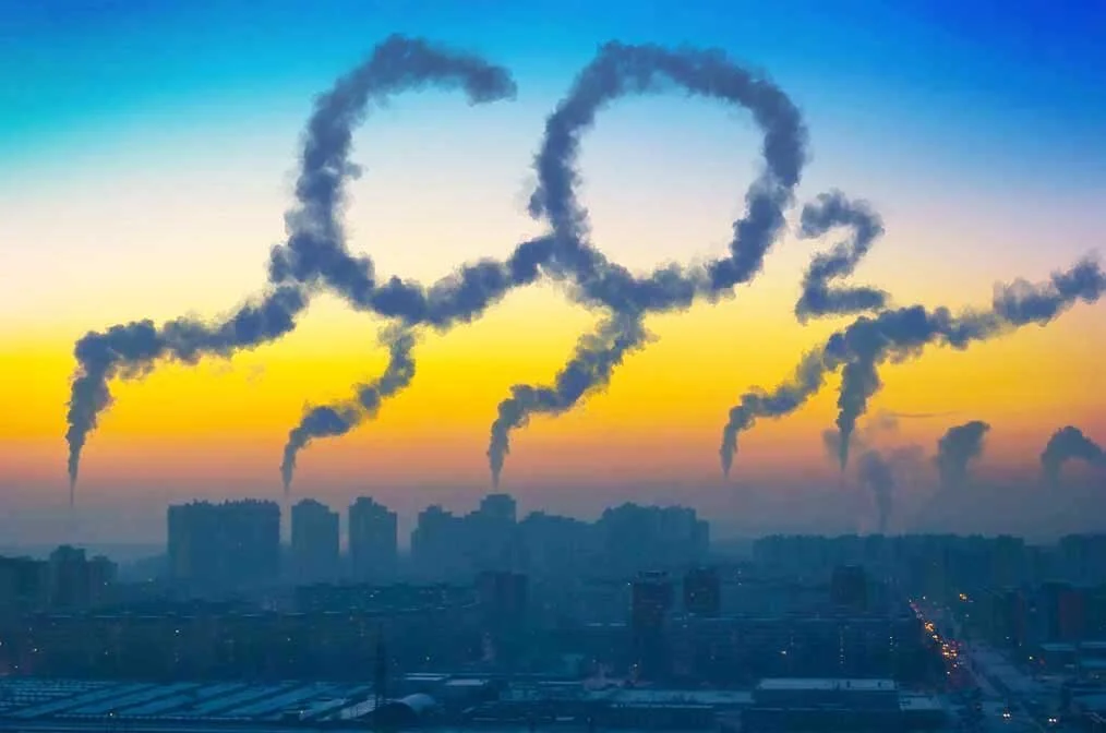 The Other Emergency: Climate Change
