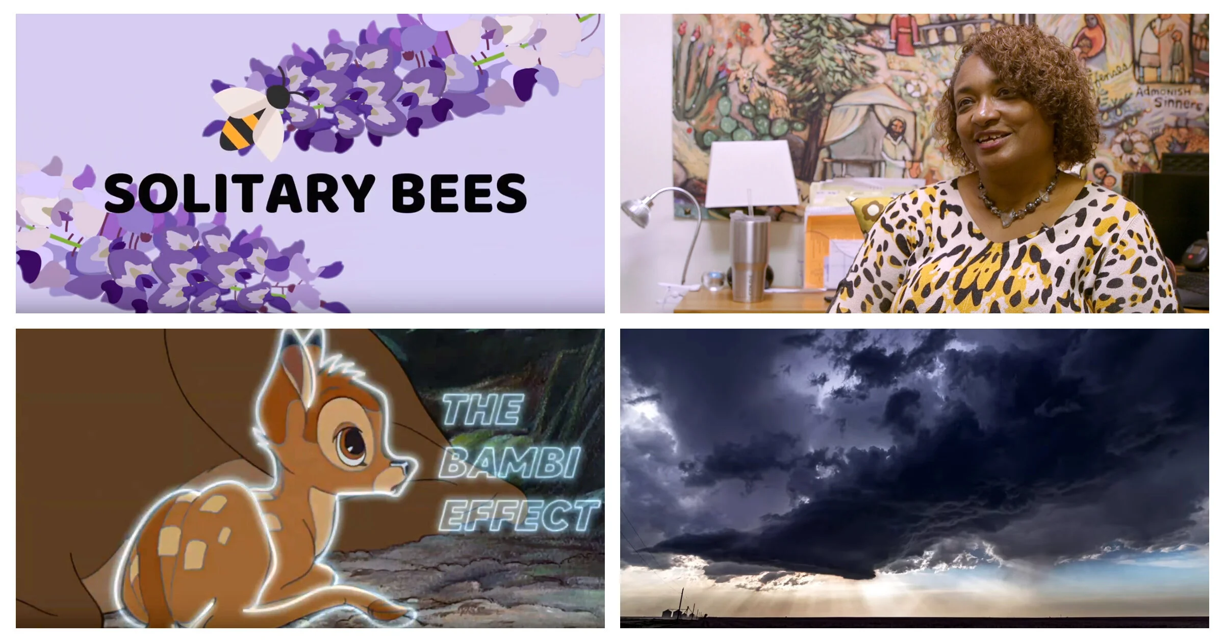 Young Filmmakers Contest Honorable Mention Winners (College + Post Grad Levels)