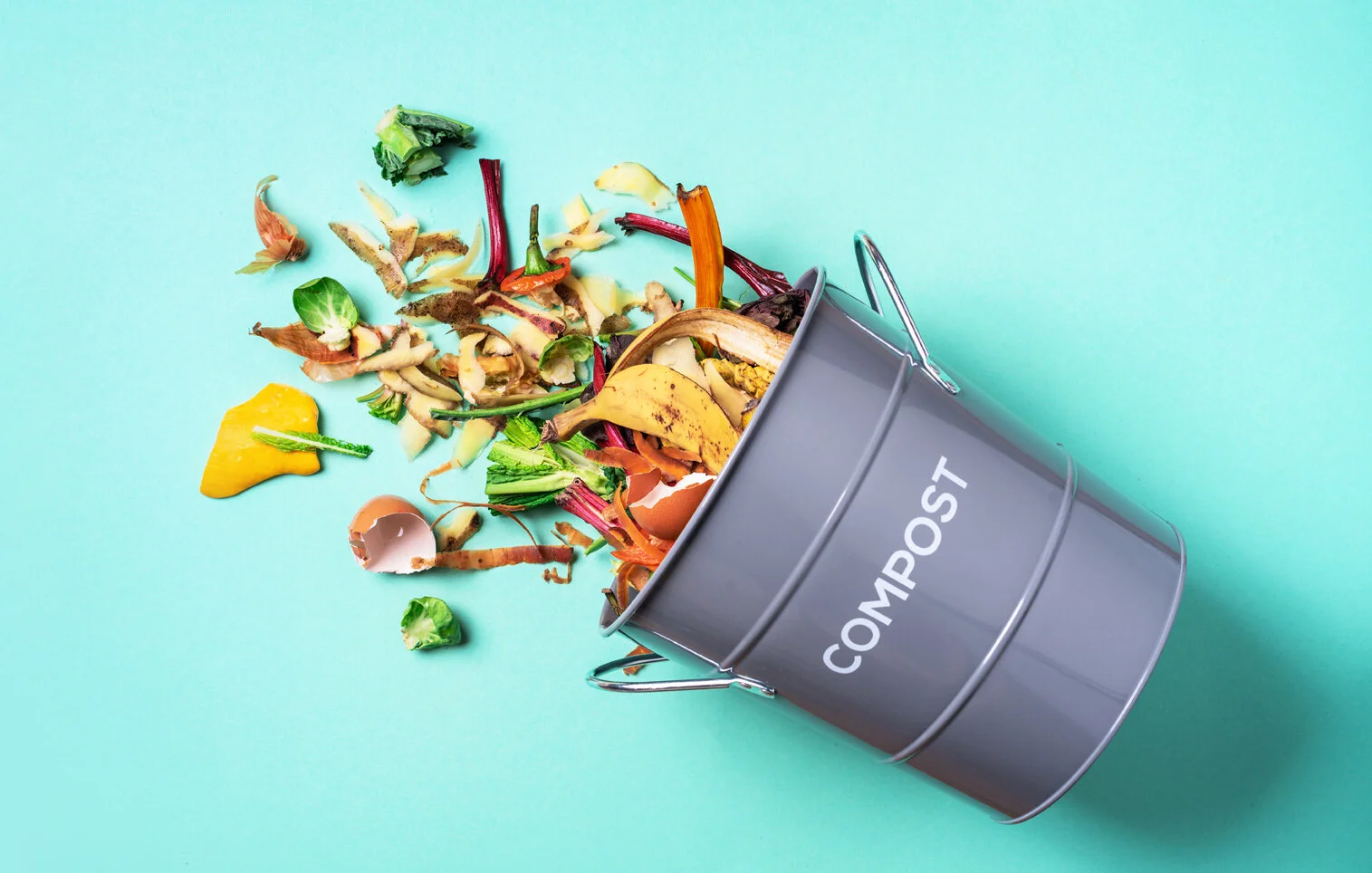 Join the Circular Economy: COMPOST