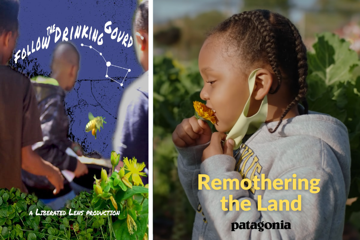 Follow the Drinking Gourd + Remothering the Land