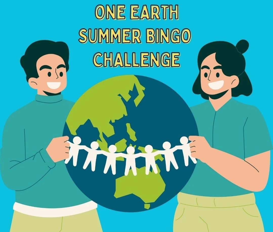 2024 Bingo Campaign Wrap-Up