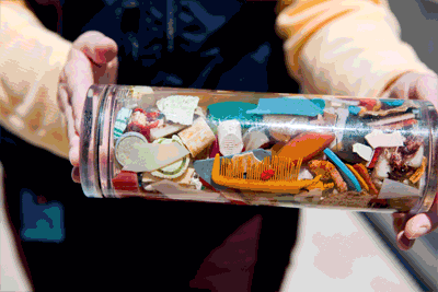 Plastic Trash found in a Bird's Stomach