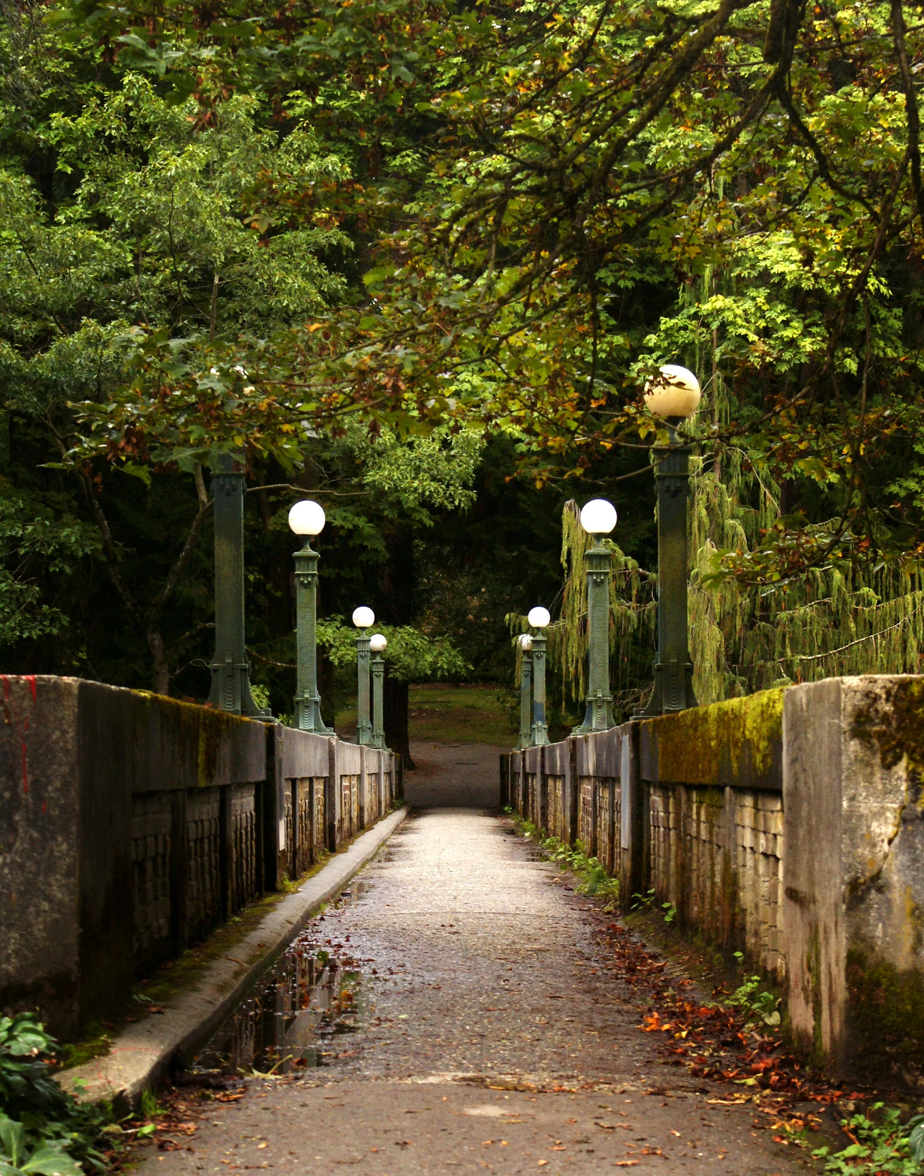 My Favorite Bridge_11x14 copy.jpg