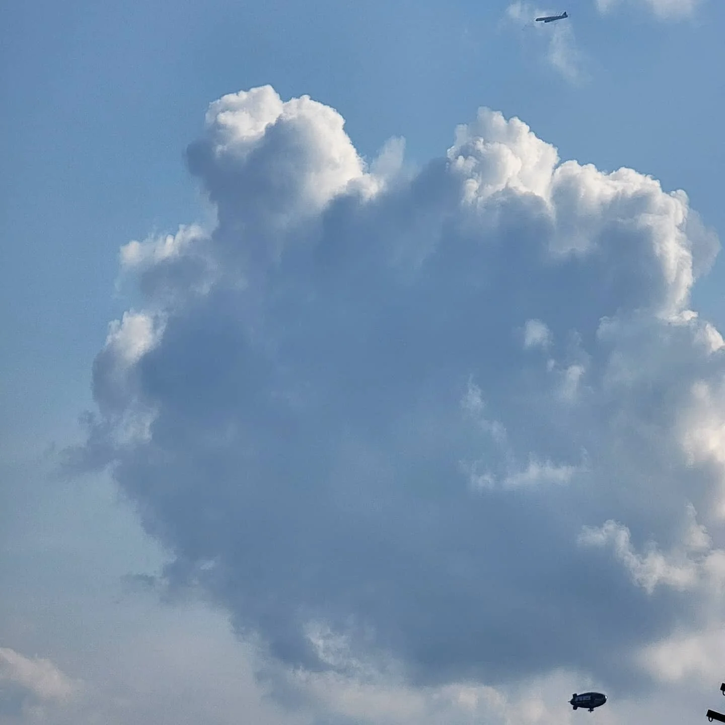 #traveldeeper #androidography #womenphotograph #cellphonephotography #ifounditlikethis #jerseycityphotographer #jerseycityartist #nofilter #lensculturephotography #venezuelanartist #colombianartist #saicalumni #speosalumni #artduringcovid19 #lifeunse