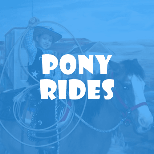 Pony Rides