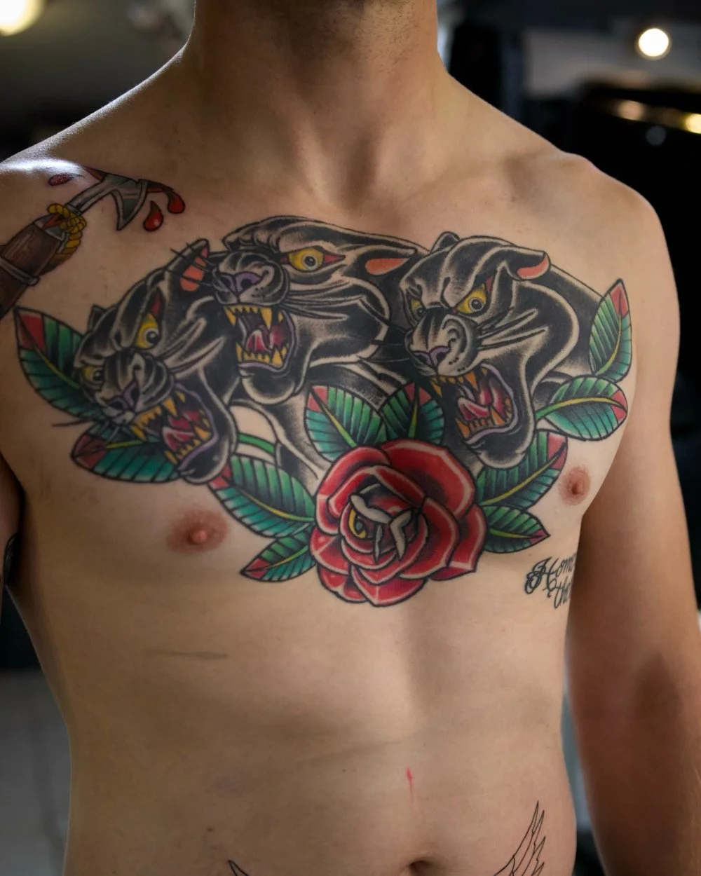 Traditional American panther and roses chest tattoo, North Park San Diego