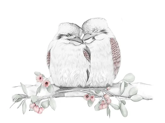 Kookaburra for Web.jpg