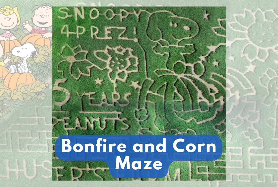 Magnet's Bonfire and Corn Maze Halloween Event