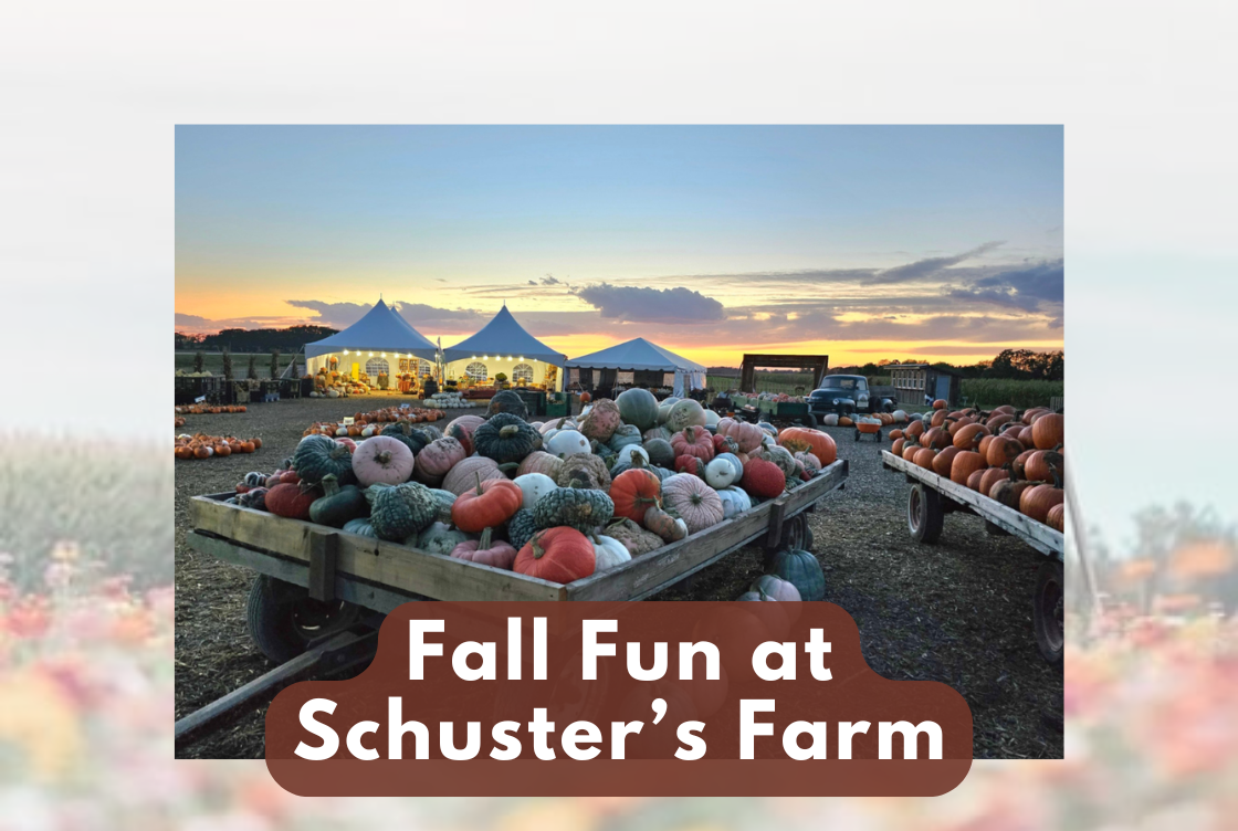 Fall Fun at Schuster's Farm