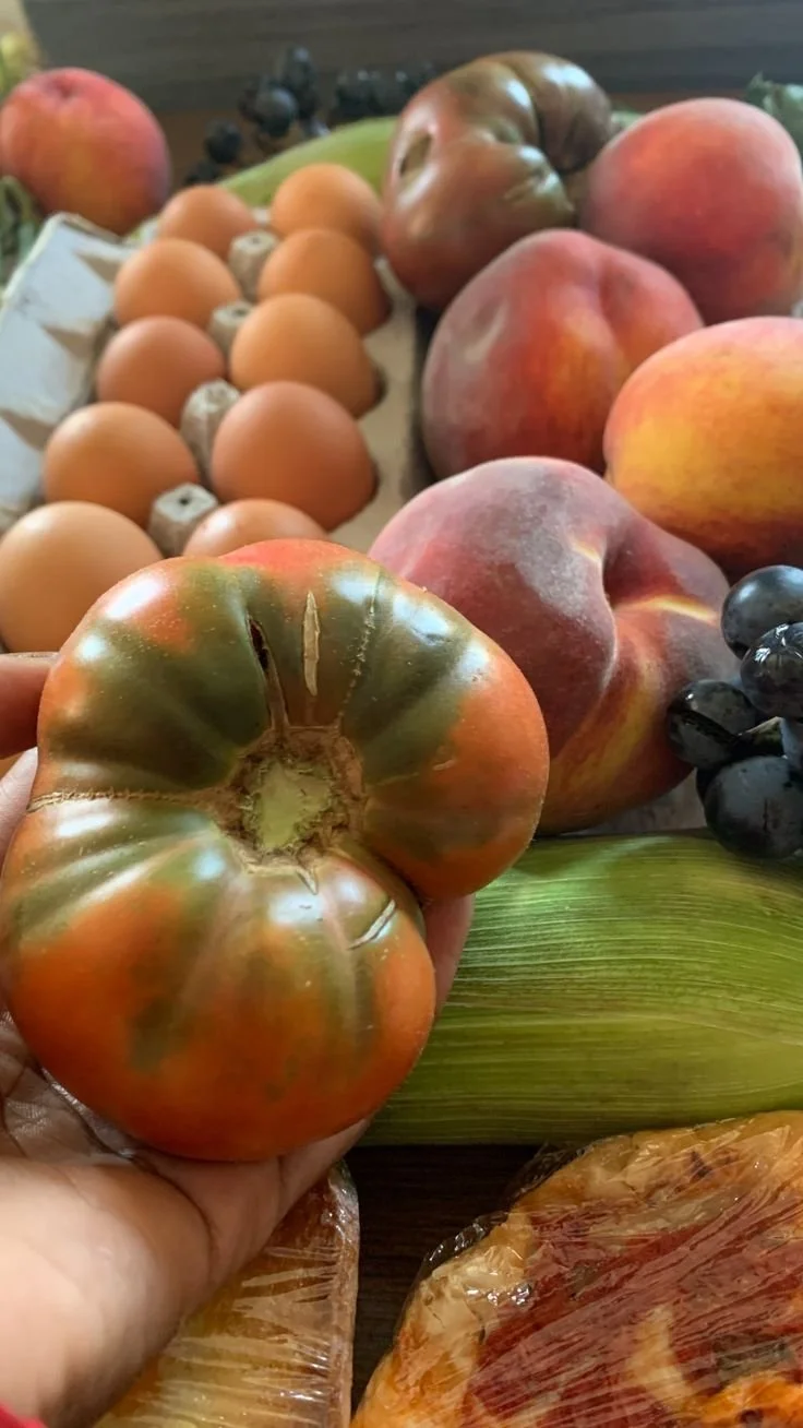 5 Gardening Tips Every First-Time Gardener Needs to Know