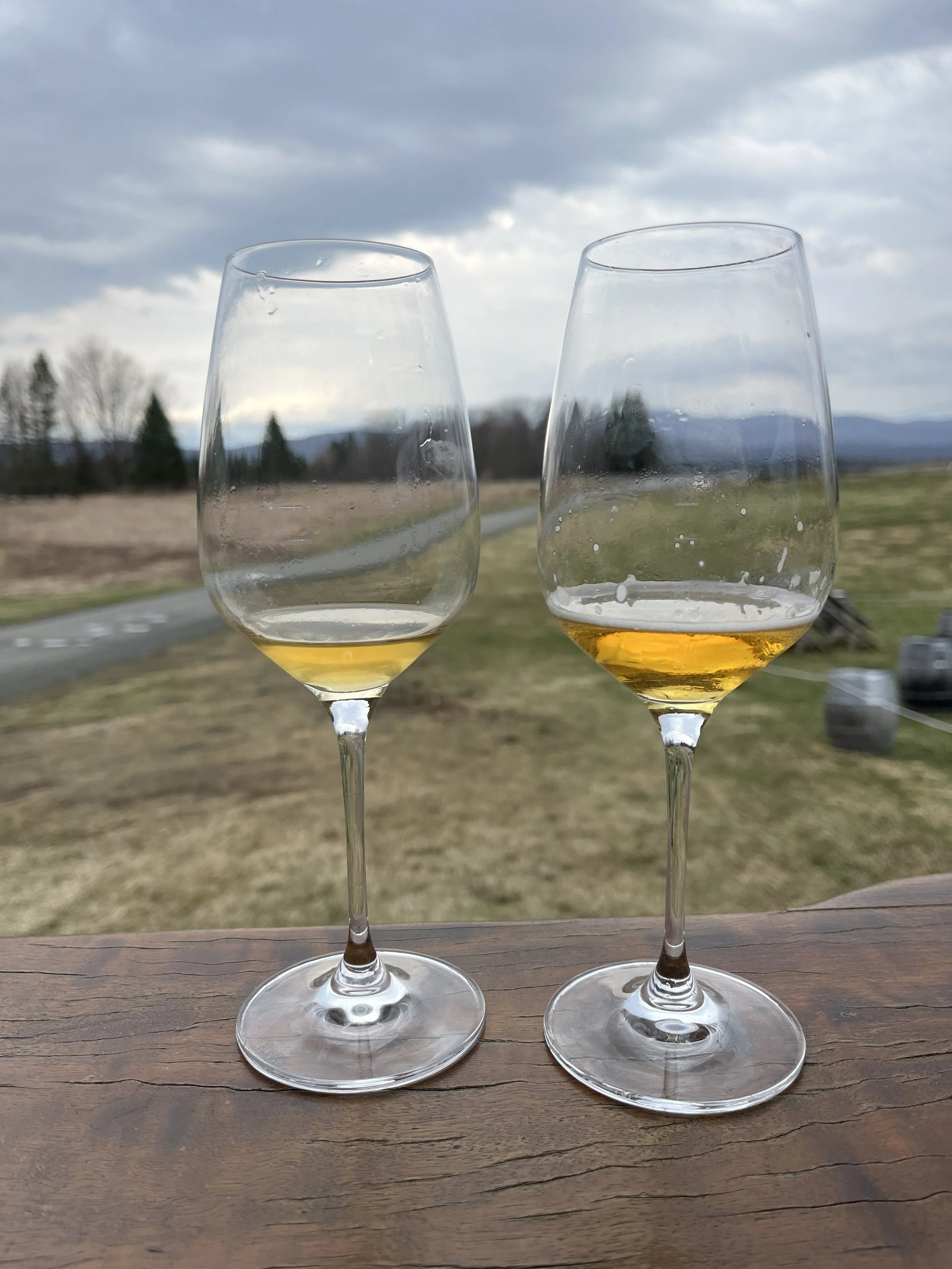 How to Build a Wine Menu + Do an At-Home Wine Tasting: BriCember Day 2