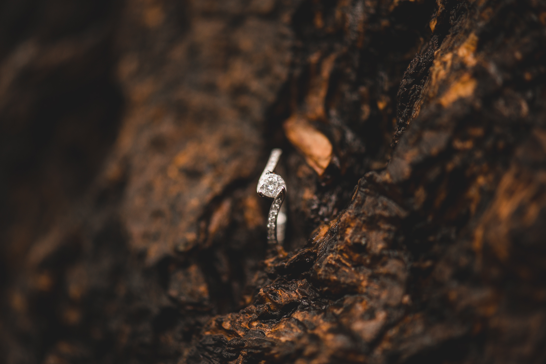 T+MEngagement-65.jpg