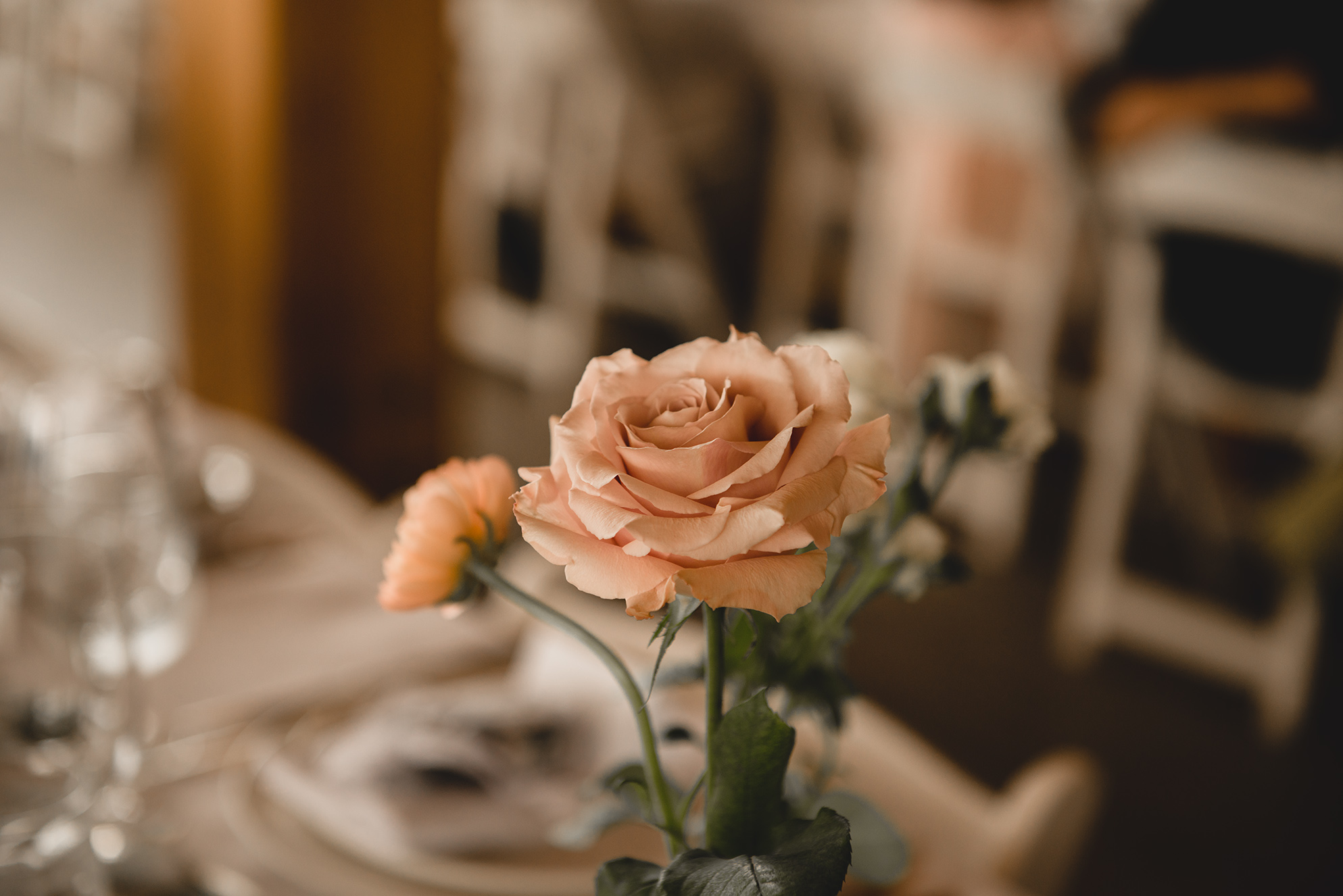 BC Wedding Photographer