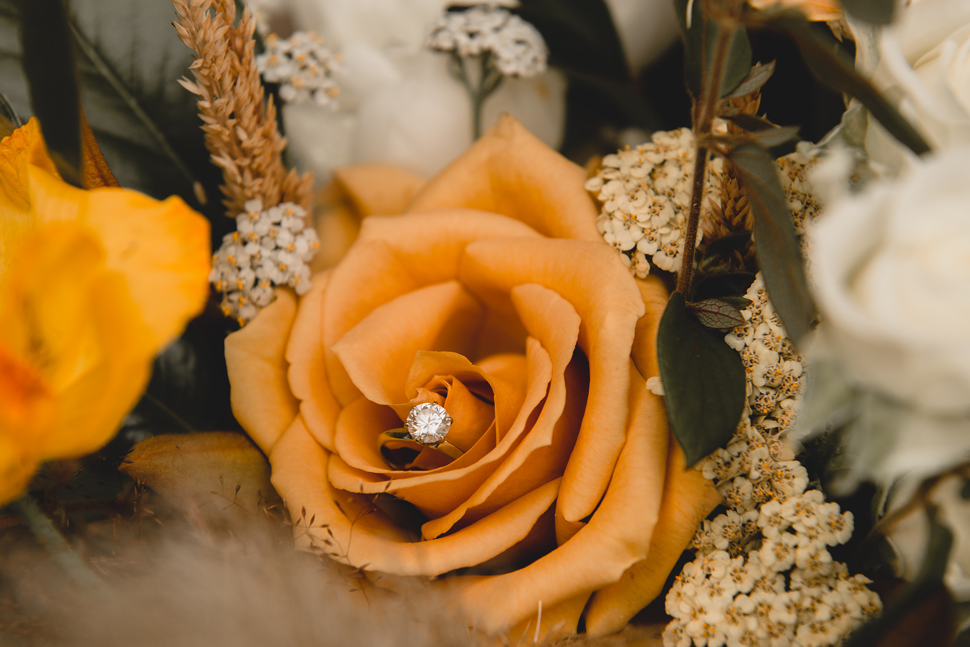 Wedding Photography Vancouver